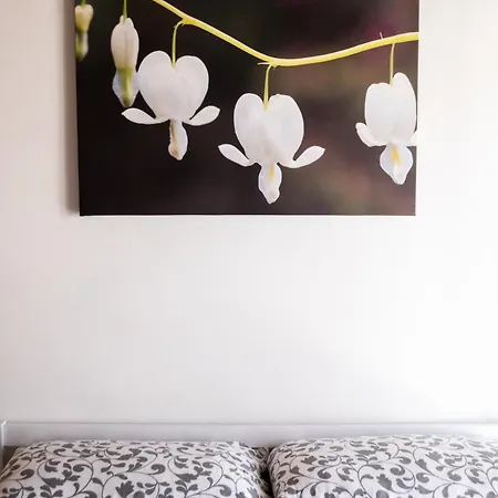 Apartment Dicentra